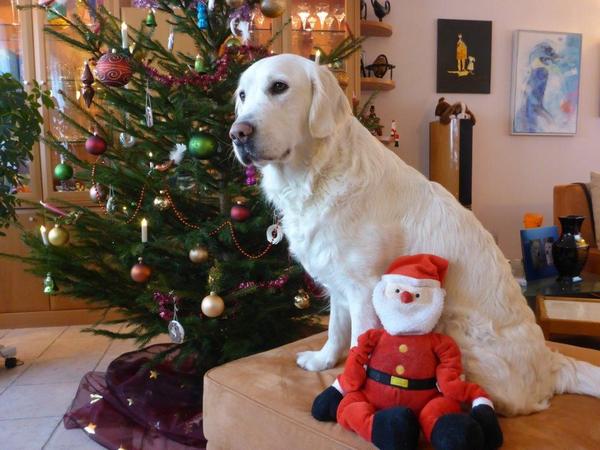 Weihnachten 2016 053.jpg